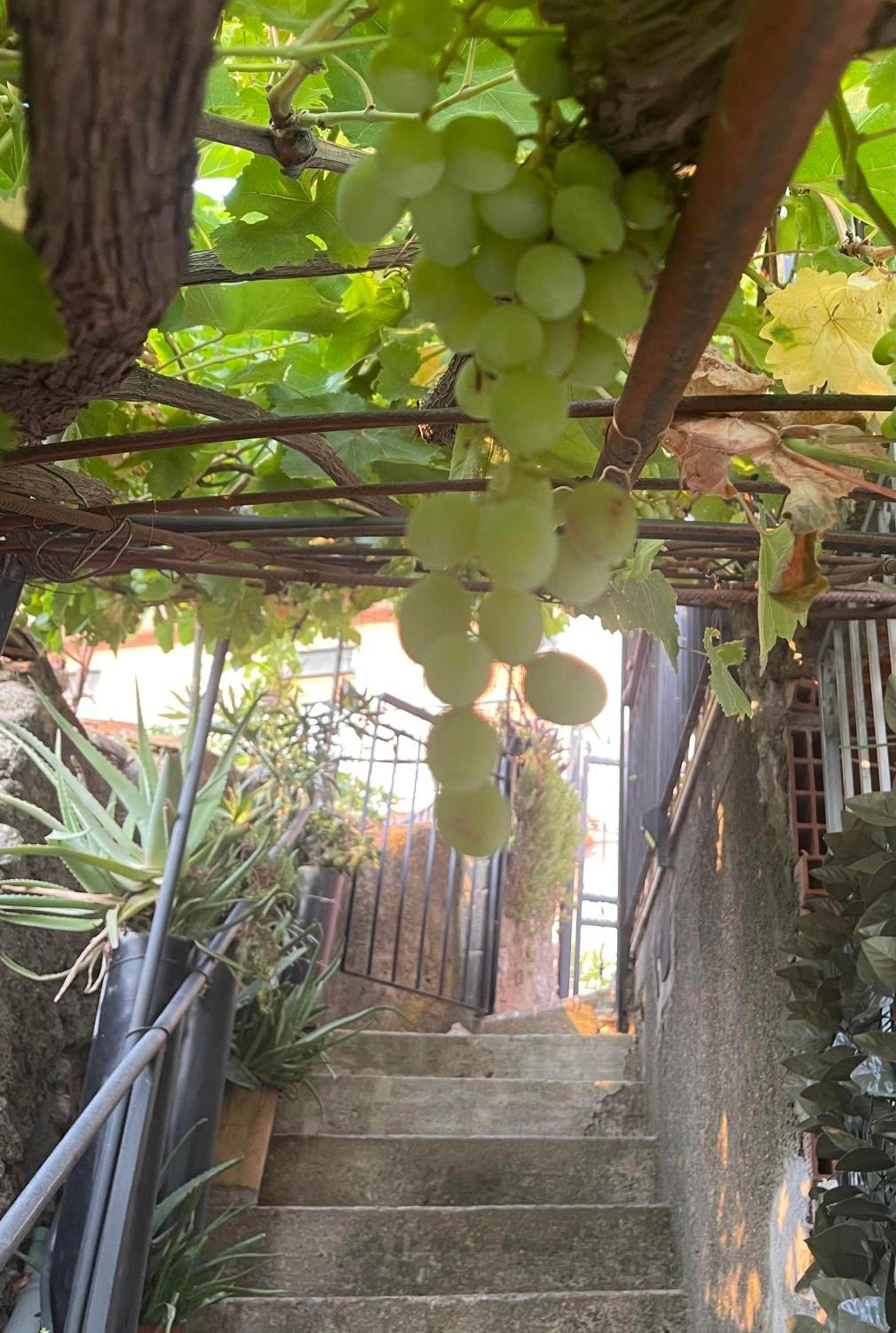 Villa The Secret Garden Forza dʼAgro Esterno foto
