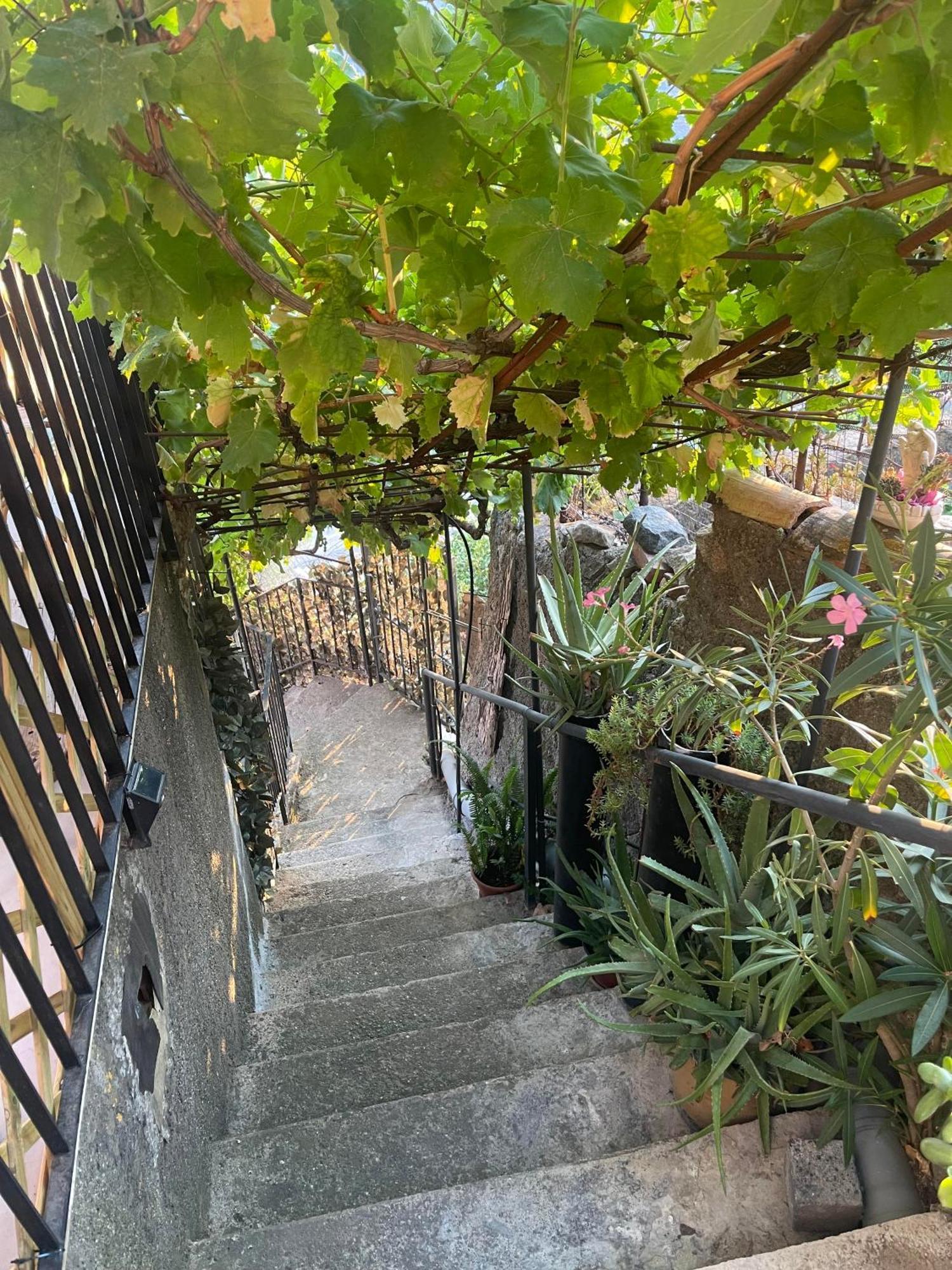 Villa The Secret Garden Forza dʼAgro Esterno foto